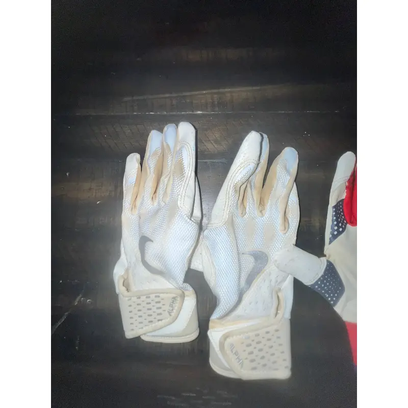 Nike Batting gloves
