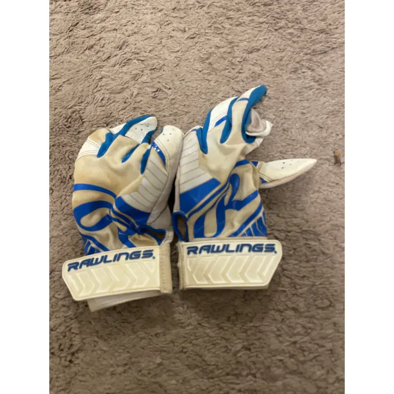 Medium Rawlings Batting Gloves (Used)