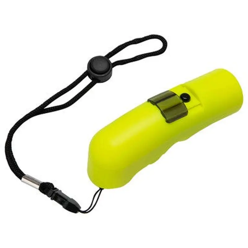 New Electronic Whistle 11735-chpa339