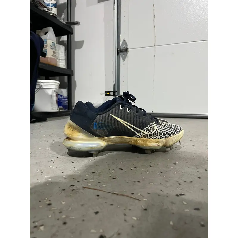 Blue Adult Metal Low Top Trout