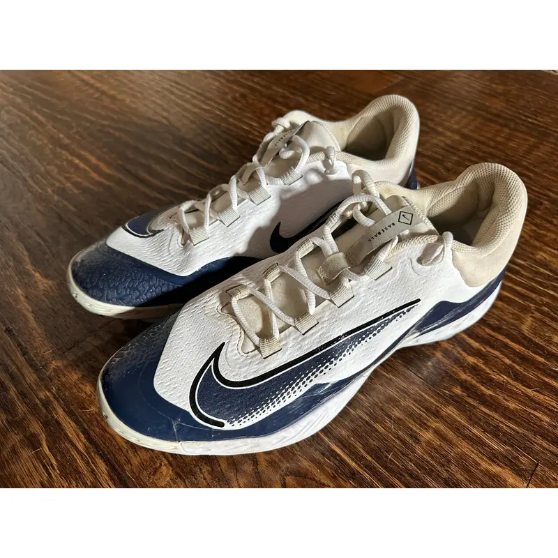 Blue Men's Size 13.0 (W 14.0) Adult Nike Low Top Metal (Used)