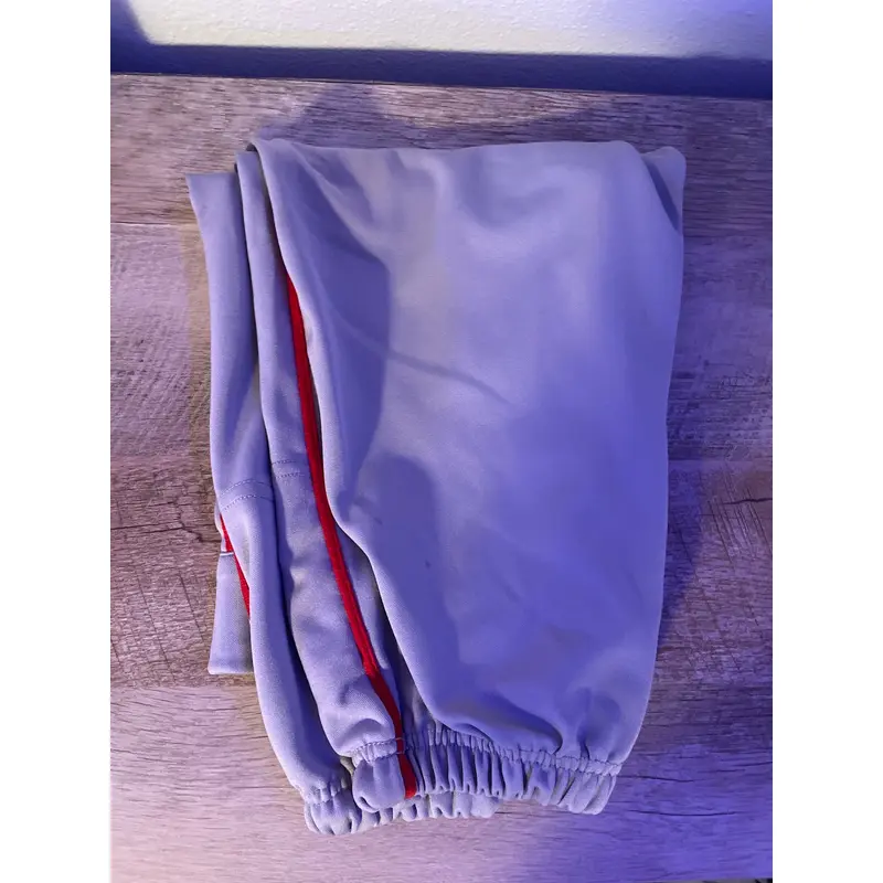Gray Champro Baseball Pants