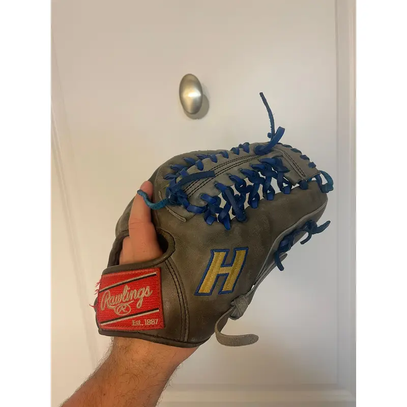 Rawlings Hofstra College Issue