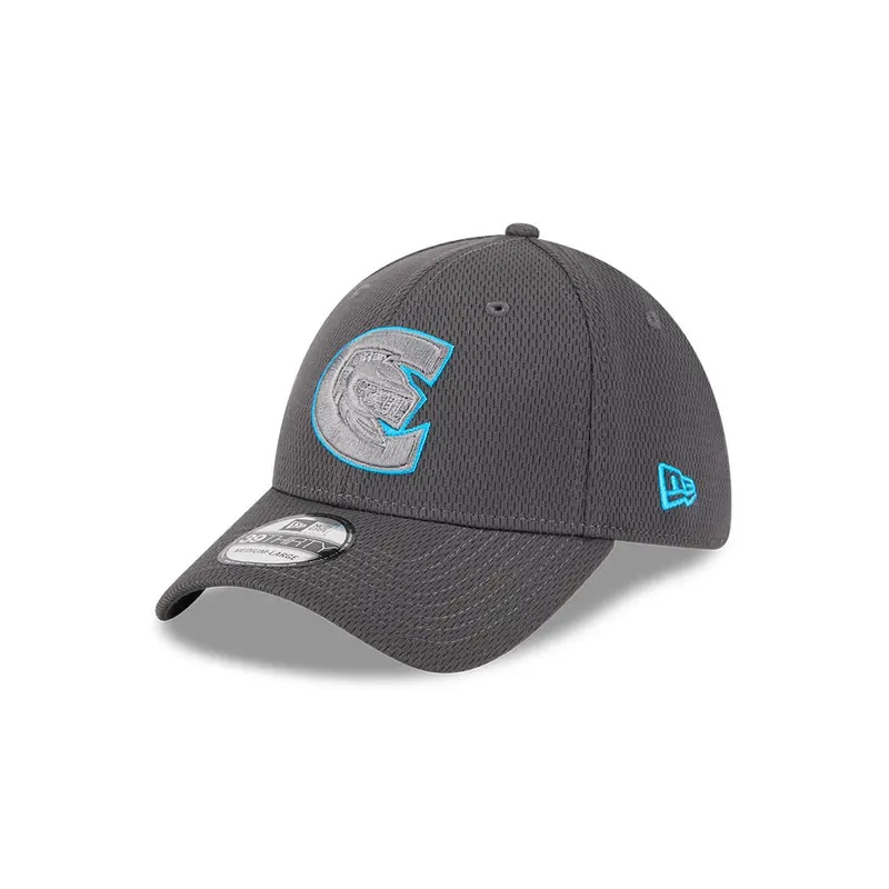 Charlotte Knights 2025 Evergreen 39THIRTY