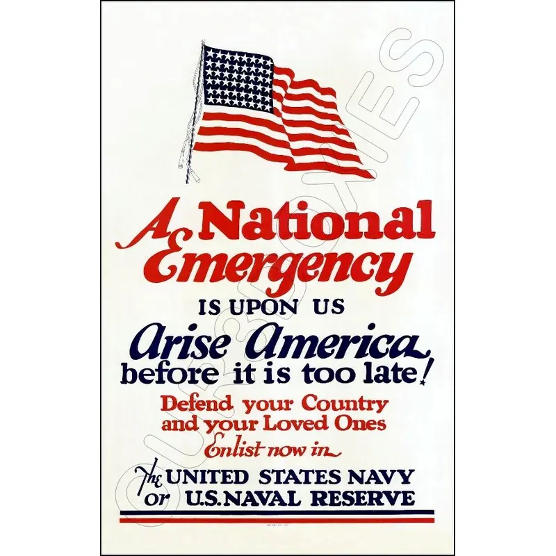 1942 WWII Poster 11X17 - A National Emergency - 3100