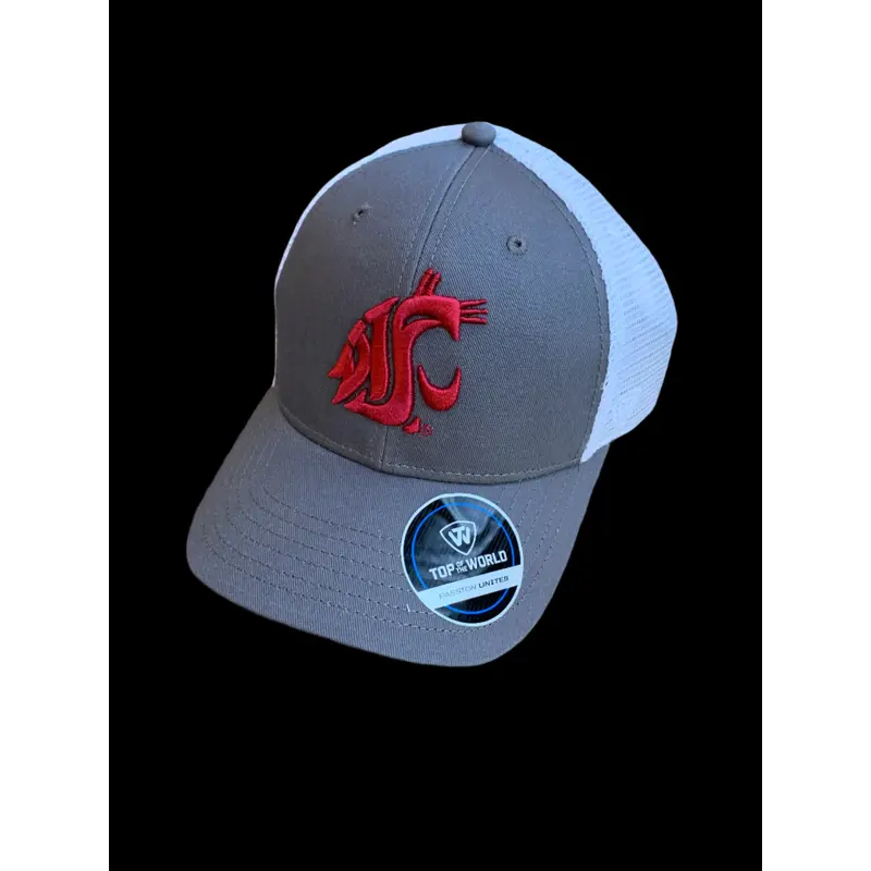 White, Crimson, & Grey Washington State Adjustable Hat