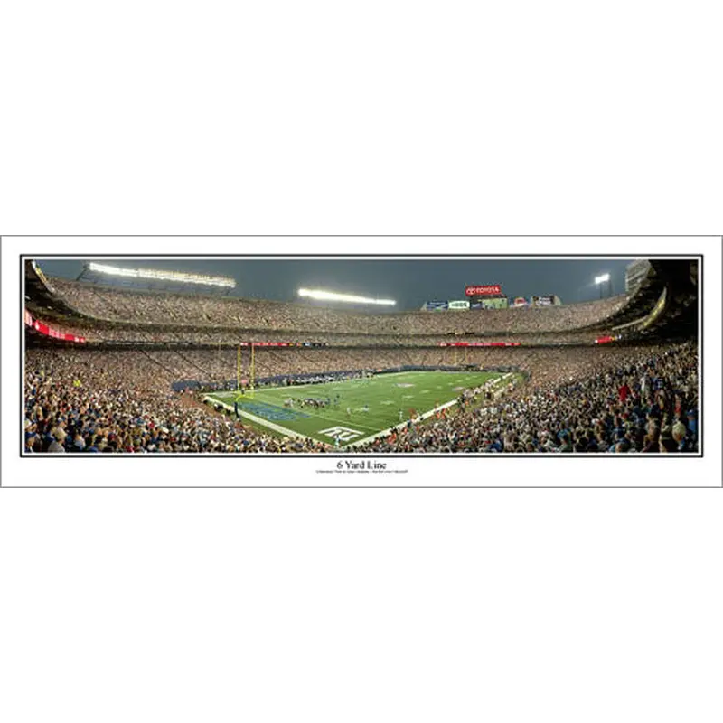 New York Giants Stadium "6 Yard Line" (2008) Panoramic Poster Print - Everlasting Images