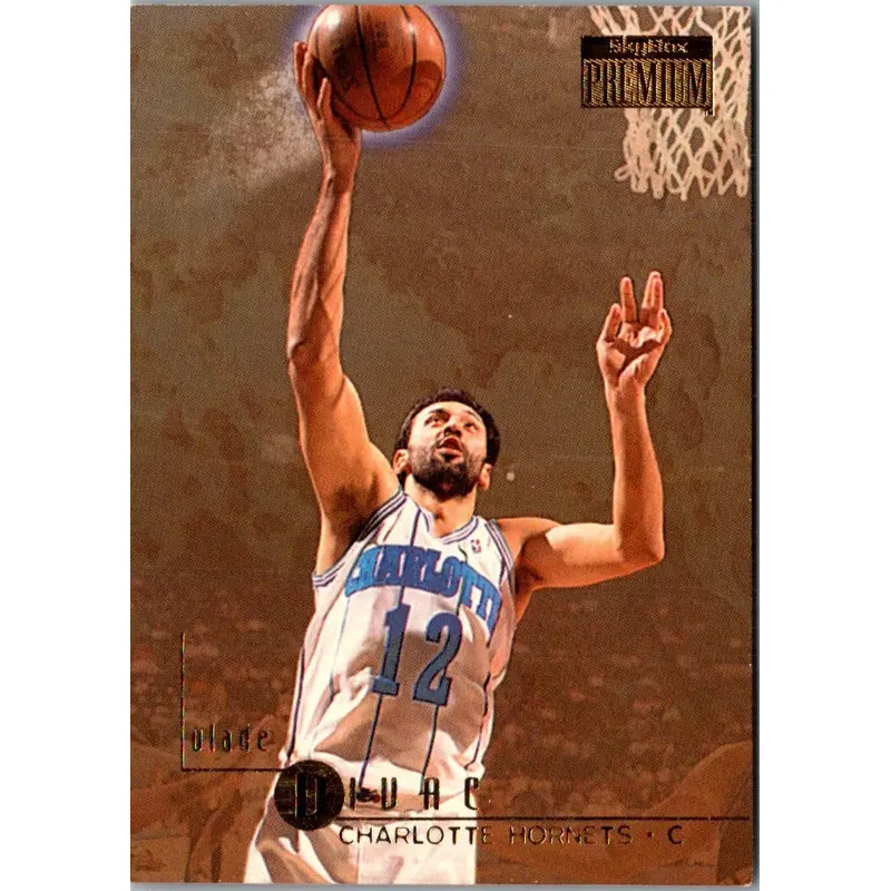 1996 SkyBox Premium Vlade Divac #138