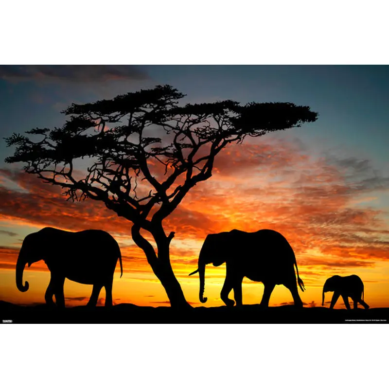 Elephant Family in Africa at Sunset Animal Kingdom Beauty Poster - Pyramid America