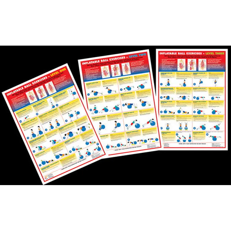 Inflatable Ball Exercises Instructional Wall Chart Combo (3) - Chartex