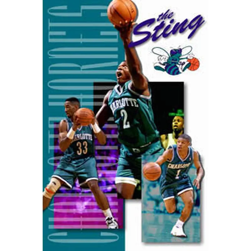 Charlotte Hornets "The Sting" Vintage NBA Poster - Costacos 1994