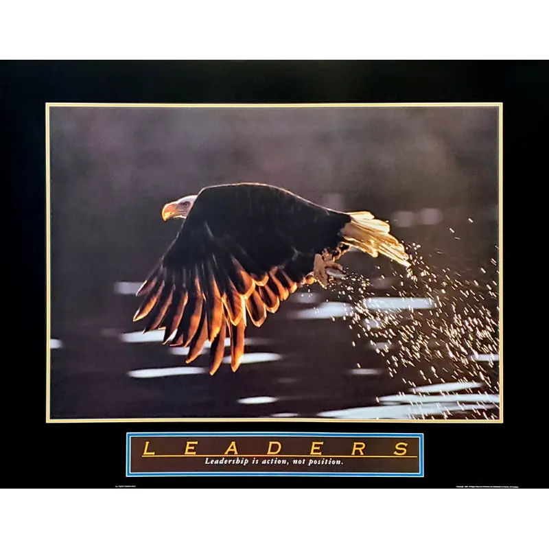 Soaring Bald Eagle "Leaders" Motivational Poster - Front Line