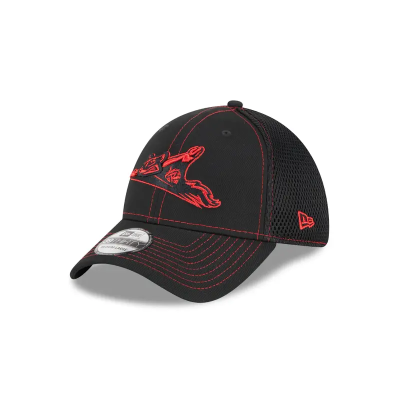 Richmond Flying Squirrels New Era Children's 39Thirty Team Neo