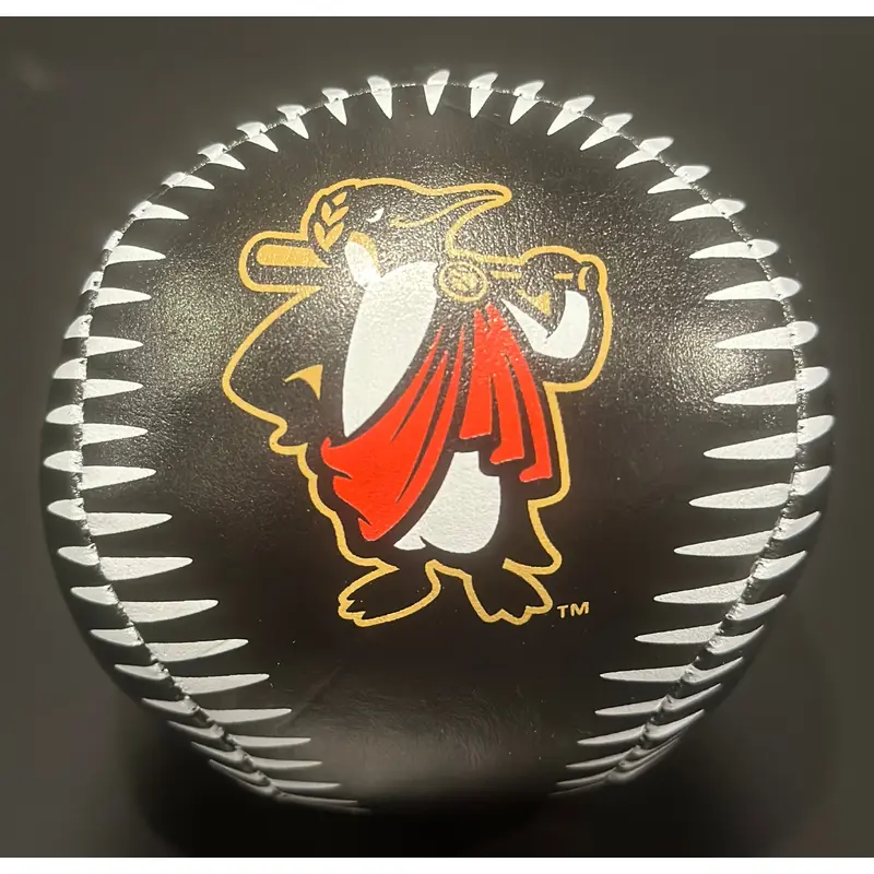 Rome Emperors Black Soft Baseballs