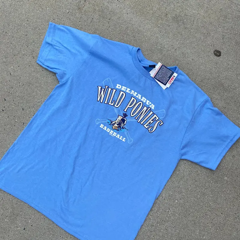 Delmarva Shorebirds Bimm Ridder Youth Roost Wild Ponies Tee