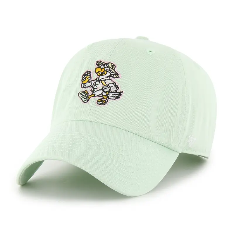 Clean Up-Aloe Biloxi Beach Chickens