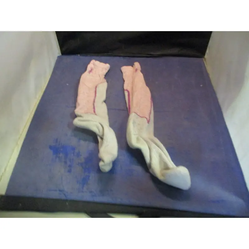 Used Smart Wool Wool Socks