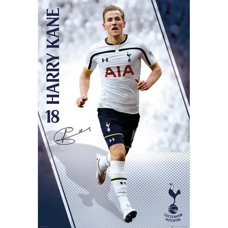Harry Kane "Signature Series" Tottenham Hotspur Official EPL Soccer POSTER - GB Eye 2015