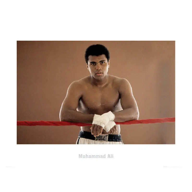 Muhammad Ali "Ropes" Classic Boxing Poster Print - GB Eye Inc.