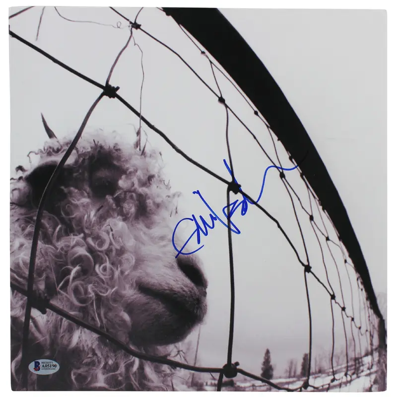 Eddie Vedder Pearl Jam Authentic Signed VS. Album Cover W/ Vinyl BAS #A05190