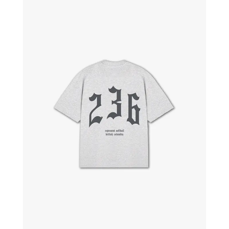 THE (236) VANQUISH SOFTBALL V2 ELITE TEE