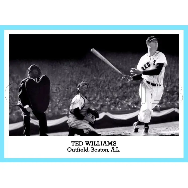 Ted Williams 1947 Tip Top Bread Custom Card - 3853