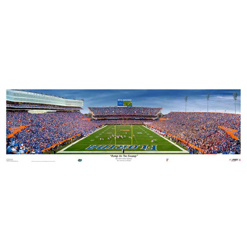Florida Gators Football "Romp in the Swamp" - USA Sports Inc.