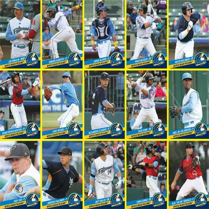 Myrtle Beach Pelicans Choice Sportscards 2014 Team Set