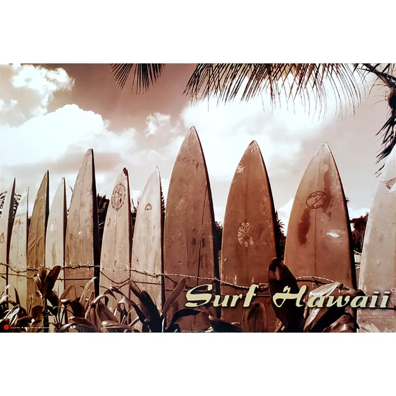 Surfing "Surf Hawaii" Surfboard Lineup by Jason Ellis - Image Source