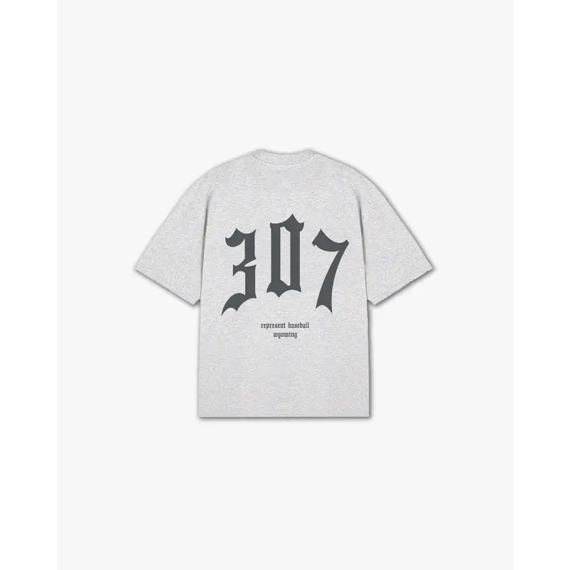 THE (307) VANQUISH BASEBALL V2 ELITE TEE
