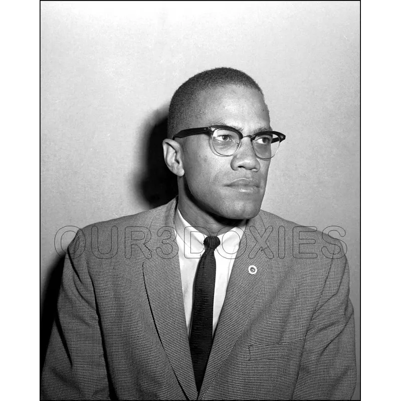 Malcom X 8X10 Photo - 2867