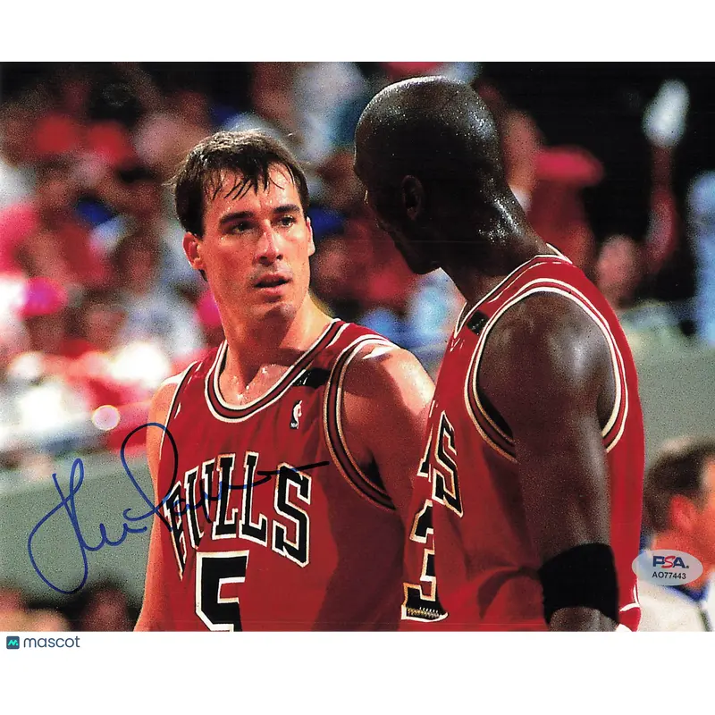 John Paxson Signed 8x10 Photo PSA Chicago Bulls